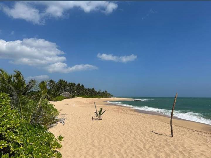 Hotel Golden Bell Tangalle Zewnętrze zdjęcie